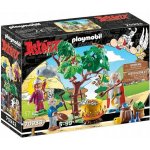 Playmobil 70933 Panoramix s kouzelným lektvarem – Zbozi.Blesk.cz