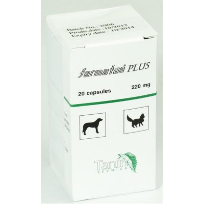 Farmatan 20cps 300mg – Zboží Dáma