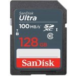 SanDisk SDXC 128 GB SDSDUNR-128G-GN3IN – Zboží Živě