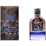 Roberto Cavalli Just Cavalli toaletní voda pánská 90 ml – Hledejceny.cz