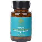 Healing Nature BIO Ašvaganda Vitalita 60 kapslí – Hledejceny.cz