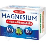Terezia Magnesium+vitamin B6 a meduňka 120 kapslí – Hledejceny.cz