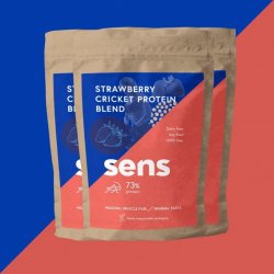 Sens Foods Jahodový šejk s cvrččím proteinem 1365 g