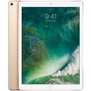 Apple iPad Pro Wi-Fi 512GB Gold MPL12FD/A