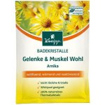 Kneipp Arnika sůl do koupele 60 g – Hledejceny.cz