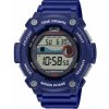 Hodinky Casio WS-1300H-2A