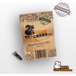 Seedstockers BCN Critical XXL Auto semena neobsahují THC 3 ks