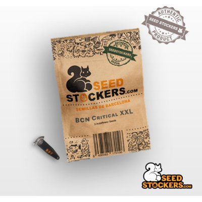 Seedstockers BCN Critical XXL Auto semena neobsahují THC 3 ks – Zboží Mobilmania