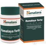 Himalaya Rumalaya Forte 60 tablet – Hledejceny.cz
