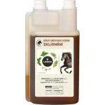 Leros Sirup Nervinae Horse 1000 ml – Zboží Dáma