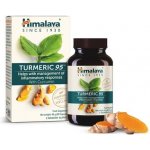 Himalaya Herbals Organic Tumeric 95 BIO 60 kapslí – Hledejceny.cz