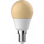 Nordlux LED žárovka E14 2,9W 2400K bílá, zlatá LED žárovky plast 5182003321 – Hledejceny.cz