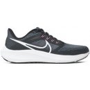 Nike Air Zoom Pegasus 39 dh4071-010