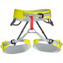 Climbing Technology Ascent