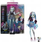 Mattel Monster High Monsterka FRANKIE STEIN – Hledejceny.cz
