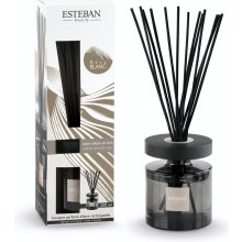 Esteban Paris Parfums scented bouquet ellipse Moka Reve blanc 200 ml