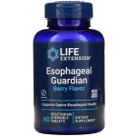 Esophageal Guardian 60 žvýkacích tablet – Hledejceny.cz