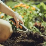 Fiskars 1027043 – Zboží Dáma