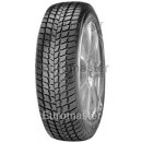 Osobní pneumatika Nexen Winguard 225/65 R17 102H