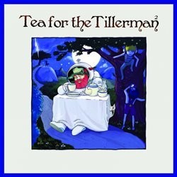 Tea For The Tillerman 2 - Cat Stevens