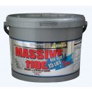 Mega Pro Nutrition Massive 1100 7264 g