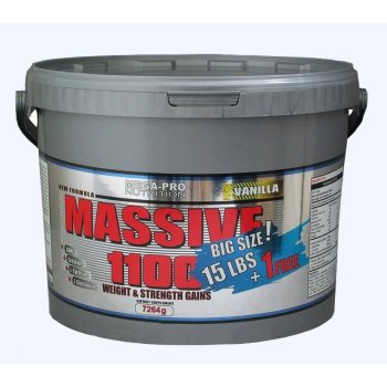 Mega Pro Nutrition Massive 1100 7264 g