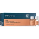 Revlon Eksperience Boost Anti Frizz Booster 12 x 6 ml – Hledejceny.cz