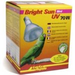 Lucky Reptile Bright Sun UV Desert 100 W – Zbozi.Blesk.cz