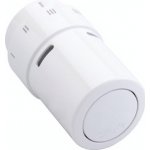 Danfoss 013G6070 – Zboží Dáma