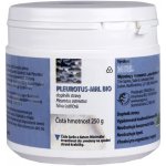 MRL Pleurotus mycélium-Biomasa 250 tablet – Hledejceny.cz