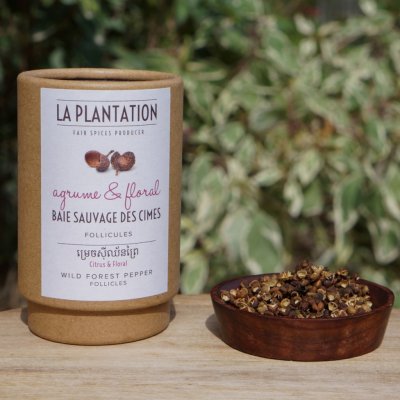 La Plantation Divoký pralesní pepř kambodžský 15 g – Hledejceny.cz