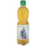Stevikom Kombucha šípek 0,5 l – Zboží Dáma