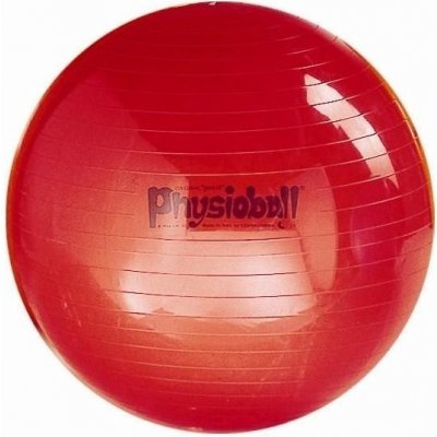 Ledragomma Physioball Standard 95 cm