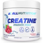 All Nutrition CREATINE MUSCLE MAX 250 g – Hledejceny.cz