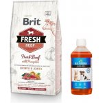 Brit Fresh Beef with Pumpkin Puppy Large 12 kg – Hledejceny.cz