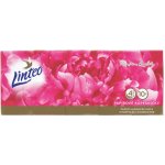 Linteo Premium papírové kapesníčky 4-vrstvé 10 x 10 ks – Zboží Dáma