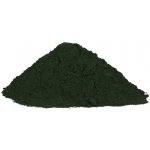 Profikoření Chlorella prášek 100 g – Hledejceny.cz