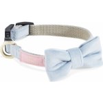 OH CHARLIE Obojek pro psy Aurora Gold – Zboží Mobilmania