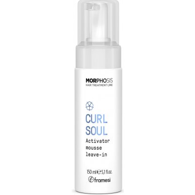 Framesi Aktivační bezoplachová pěna na vlnité a kudrnaté vlasy Curl Soul 150 ml – Hledejceny.cz