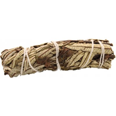 Ancient Wisdom Šalvěj Yerba Santa svazek pro vykuřování 10 cm – Hledejceny.cz