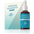 Energy Tribulus terrestris forte 30 ml