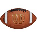 Wilson NFL Licensed Carolina Panthers