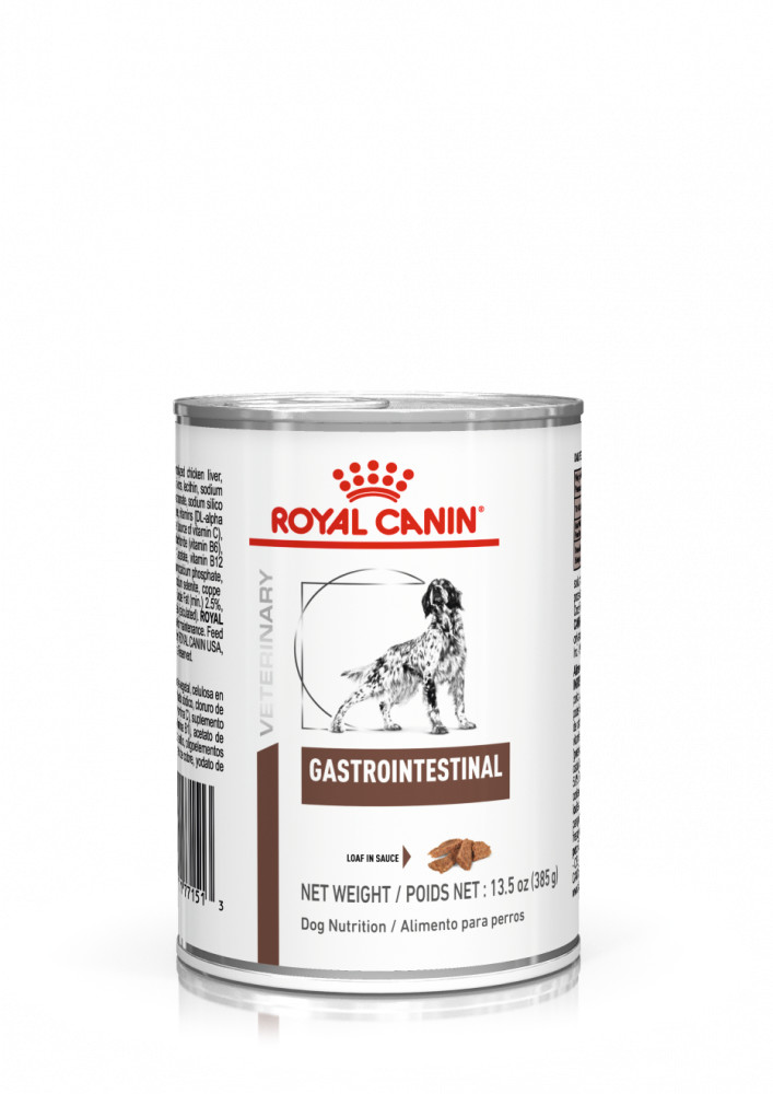 Royal Canin Veterinary Diet Adult Dog Gastrointestinal 12 x 400 g