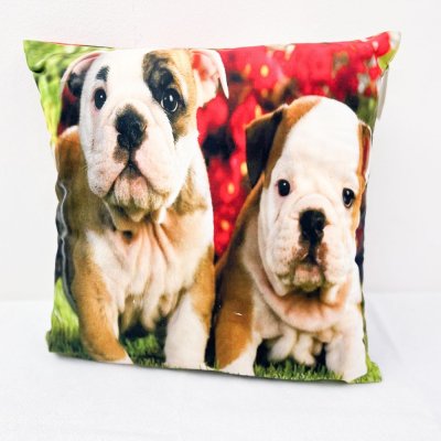 proPOSTELE polštář Pejsek 3 40x40 – Hledejceny.cz