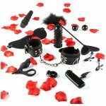 ToyJoy Amazing Pleasure Sex Toy Kit – Zboží Dáma