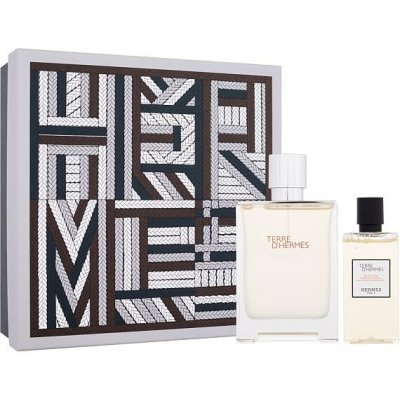 Hermes Terre d´Hermès Eau Givrée parfémovaná voda pánská 100 ml – Hledejceny.cz