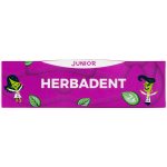 Herbadent JUNIOR Bylinná SPEARMINT 75 g – Zboží Mobilmania