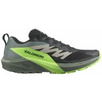 Salomon Sense Ride 5 Gore-TexFlint/Black/Grgeck L47312800 – Hledejceny.cz