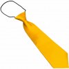 Kravata Zlatá chlapecká kravata Color