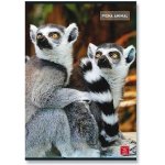 Pigna Školní sešit Animal A5 linkovaný – Hledejceny.cz